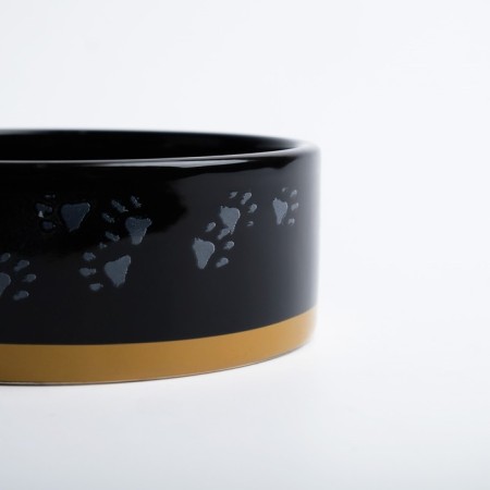 Ceramic bowl "Black cat" 300 ml 12.5 x 4.5 cm, black-orange-5