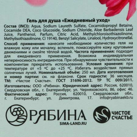 Shower gel “Shine with happiness!”, 250 ml, aroma of fruit dessert, pure happiness-6