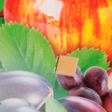 Decoration on the adhesive tape "Fruit basket" grenades, 26x26 cm-2