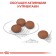 Dry food RC mini digestive Care for small dogs with sensitive gastrointestinal tract, 3 kg