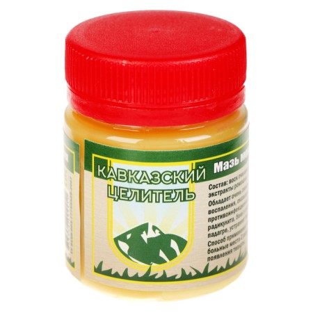 Monastic ointment "Zhivitsa with fly agaric." Wound healing, 40 ml
