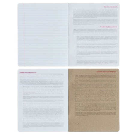 The subject “New Classics”, 48 sheets in the Literature “Literature”, Cardboard Cover, VD-LIK-2