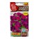 Petunia flowers "City compact" F1 lilac, c/p, 7 pcs