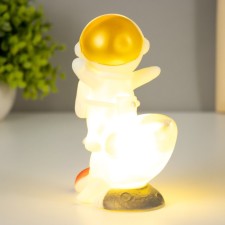 The nightlight 