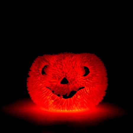 Anthistress label "Pumpkin in a hat", in showbox-4