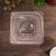 A plastic disposable container with an insoluble lid IP-9-LEAV, 200 ml, 13 × 13 × 6 cm, the color is transparent