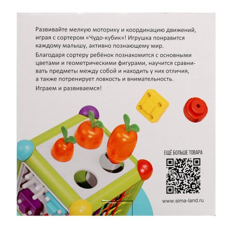 Developing Sorter "Miracle Cube"-11