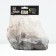 Iris Japanese light et Don, rr I, 1 pc, spring 2025