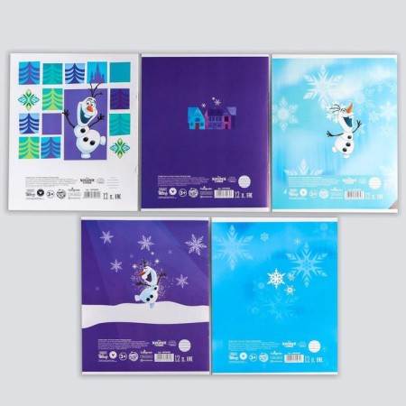 Notebook in a ruler of 12 sheets, 5 types of mix, cover coated cardboard, cold heart-9