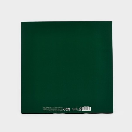 Gift box New Year's folding "Cozy New Year", 26 × 26 × 8 cm-1