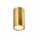 Ceiling lamp ST LUCE. ST110.207.01. 1x50 W, GU10, 5.4x5.4x10 cm, golden color