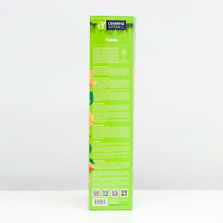 Seedling rose tea-hybrid tuffy, 1 pc, spring 2024-2