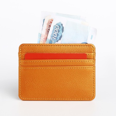Cartholder, Orange color-4