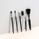 A set of makeup brushes, 5 objects, black color