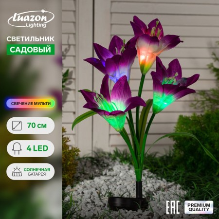 Sadovy lamp on the sunny battery "Lilia Violet", 80 cm, 4 LED, glow of multi (RGB)