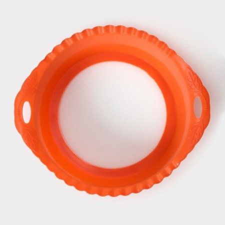 Plastic sieve, 25 × 22 × 7 cm, color mix-6