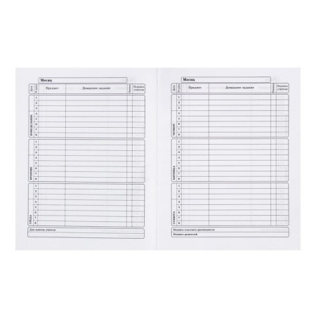 Universal diary for grades 1-11, 40 sheets "Serious Gorilla", solid cover, Soft-Touch lamination, offset unit-4