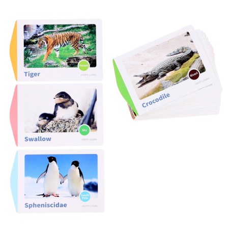 Set for visual experiments "Dynamic figures" 16 cards-3