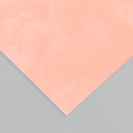 Liszt for creativity claims "Oil. Matte" peach sheet 33x20 cm thick 0.74 mm-2