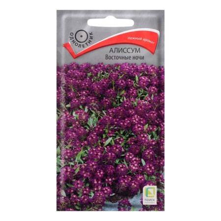 Alissum "Eastern Nights" flowers, 0.3 g
