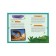 Interactive children's encyclopedia with magnets "Dinosaurs"