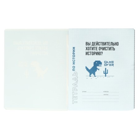 Notebook subject “phrases with character”, 48 sheets in the “history” cage, covered cardboard, selective twin-lak, UV-lak, OFSET block-1