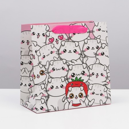 Gift Laminated Square, packaging, “cats”, 22 x 22 x 11 cm-2