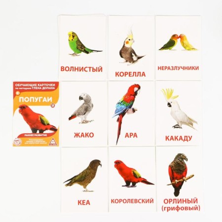 Mix Training cards according to the method of Glen Doman “We Expand the horizons”, 10 pieces, A6, 2+-10