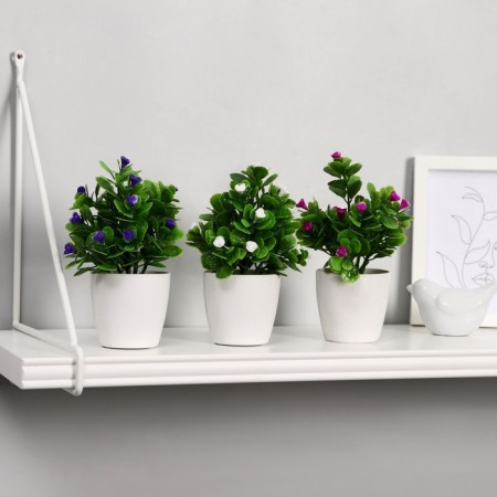 Bonsai in the pot "Little roses" 6x15 cm, mix-2