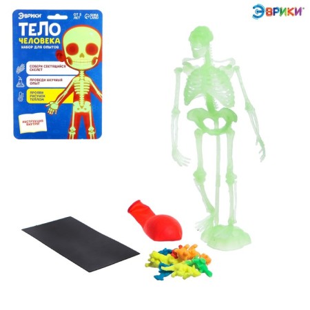Set for experiments "Human Body"