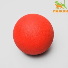 Toy 