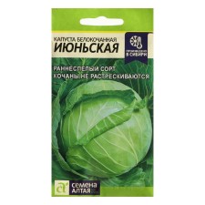 White cabbage seeds 