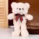 Soft toy "Bear" with a checkered bow, 30 cm, white color