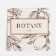 Botany gift set: towel, stands, kitchen spoon, kitchen scapula
