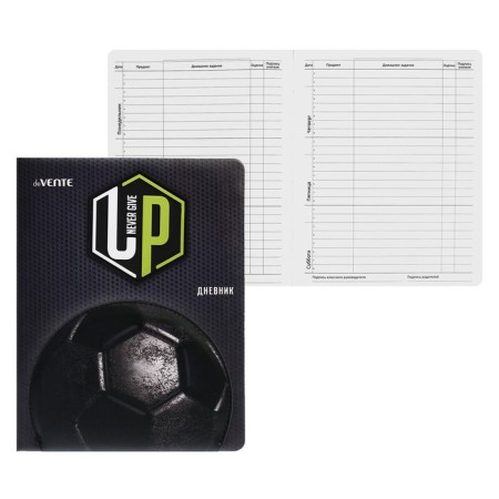 Universal diary for grade 1-11 Sport, hard cover, artificial leather, liesse, 80 g/m2
