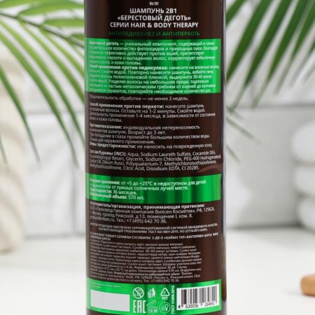 Shampoo 2B1 "BERRESTY TEGO" Antipediculez Antiperhochny series "Hair and Body Therapy", 570 ml-1