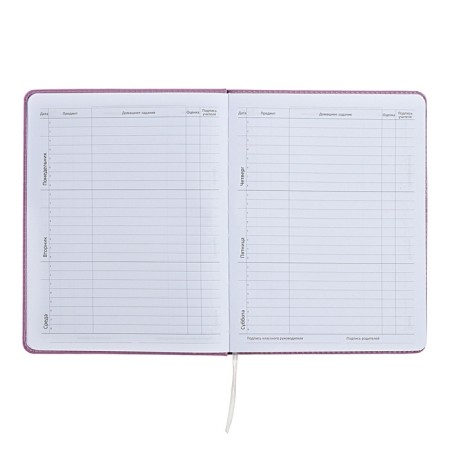 Universal diary for grade 1-11 Mentality, hard cover, artificial leather, foam rubber, lies, 80 g/m2-6