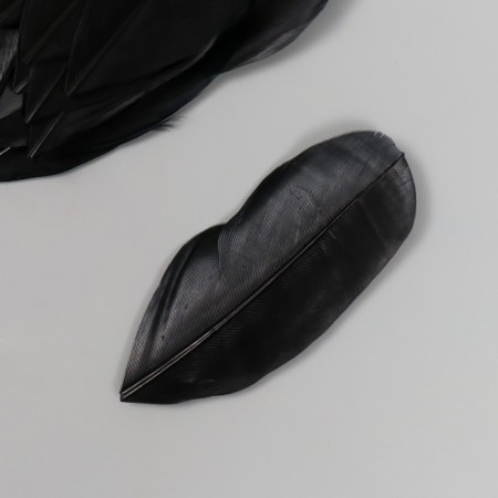Decorative goose feature "Black" in the shape of a sheet set 40 pcs h = 5-7 cm-2