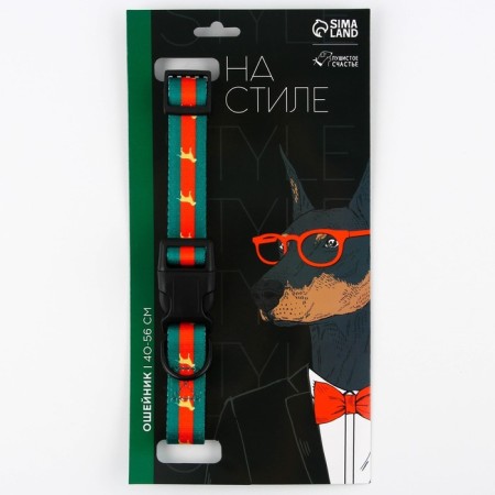 Collar "in style", fastener - fastx, 2.5 cm, 40-55 cm-5
