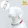 Metal collar with eco -leather insert, 60 cm x 3 mm
