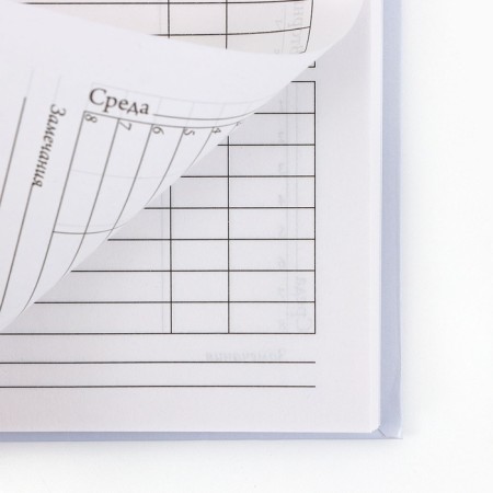 School Diary 1-4 class, in a solid cover, 48 liters "September 1: cats"-7