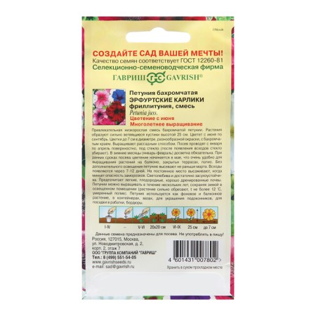Petunia seeds "Erfut dwarfs", 7 pcs.-1