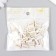 Beads for creativity plastic "Golden inscriptions" White set 20 grams