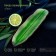 Ceramic serving dish "leaf", 25 × 7 × 3 cm, green color