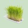 Titbit grass for cats, barley, 50 g