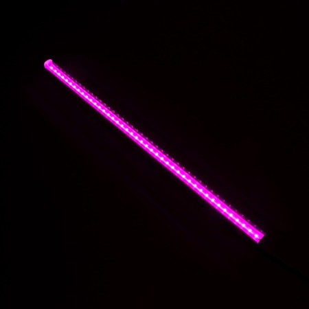 Phytoslight LED Fitoleto, 10 W, 570 mm, IP20, 220 V, for seedlings and flowering