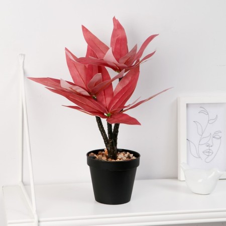 Bonsai in the pot "Tradescantia Color" 10x26 cm, mix