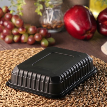 Container Plastic disposable “Yuzhuralpak”, KR-179, 500 GR, 17.9 × 13.2 × 3.7 cm, black color black-1