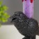 Nightlight "bird" LED RGB 3XAG10 9.2x13x20 cm Risalux