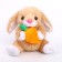 Soft toy "Rabbit with carrots", 17 cm